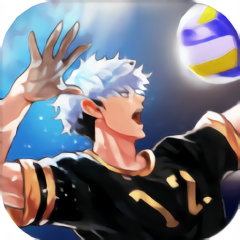 The Spike Volleyball Story排球